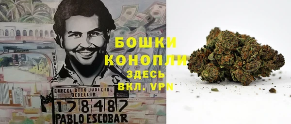 гидра Осташков